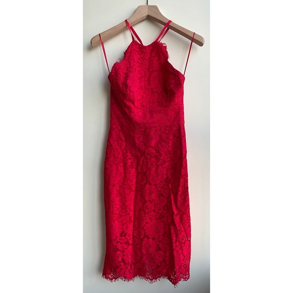 Lover Oasis Red Lace Dress - Picture 3 of 9